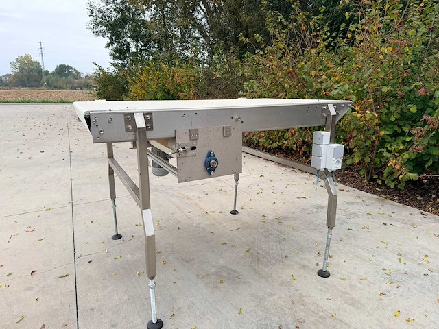 Transnorm complete koekjes transport-en verpakkingslijn - afbeelding 45 van  75