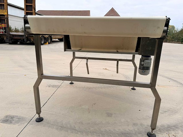 Transnorm complete koekjes transport-en verpakkingslijn - afbeelding 24 van  75