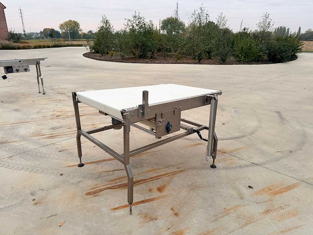 Transnorm complete koekjes transport-en verpakkingslijn - afbeelding 62 van  75