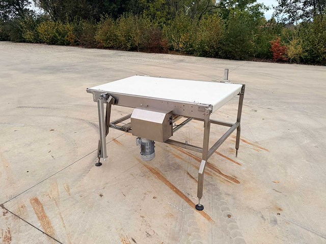 Transnorm complete koekjes transport-en verpakkingslijn - afbeelding 35 van  75