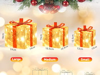 Transparante rode pvc geschenkdoos - afbeelding 2 van  4