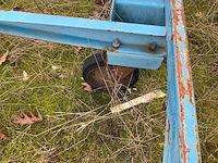 Transportwagen - afbeelding 6 van  7