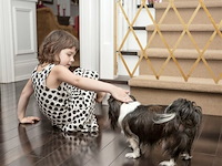 Traphekje - afbeelding 3 van  6