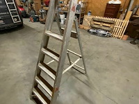 Trapladder (bovenste trede defect) - afbeelding 1 van  1