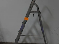 Trapladder