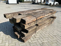 Treinbilzen (20x) - afbeelding 2 van  6