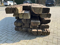 Treinbilzen (20x) - afbeelding 3 van  6