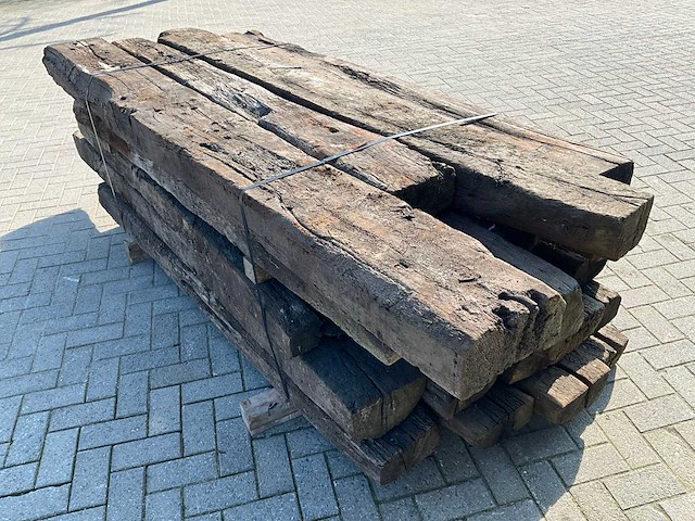 Treinbilzen (20x) - afbeelding 4 van  6