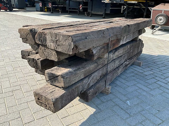 Treinbilzen (20x) - afbeelding 5 van  6