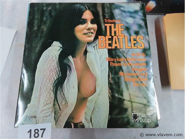 Tribute to the beatles - afbeelding 1 van  2
