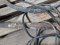 Trilnaald enar - afbeelding 2 van  3