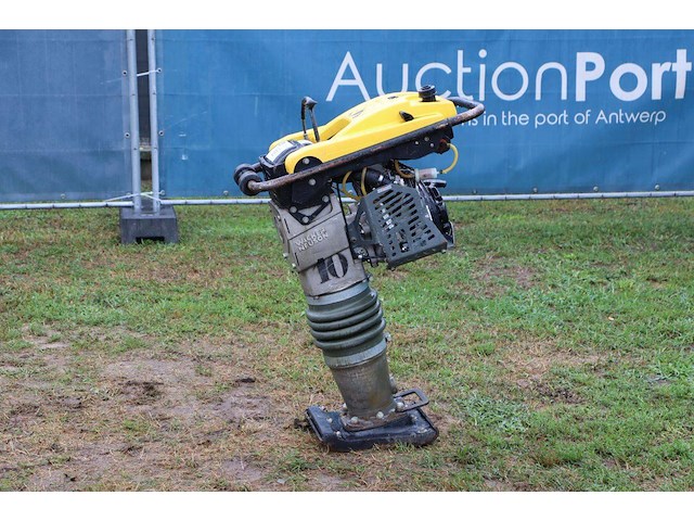 Trilplaat wacker neuson 10 benzine 2022 - afbeelding 1 van  1