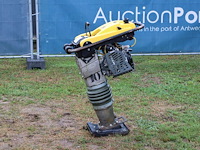 Trilplaat wacker neuson 10 benzine 2022 - afbeelding 1 van  1