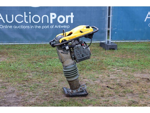 Trilplaat wacker neuson bs60-4s benzine 2008 - afbeelding 1 van  1