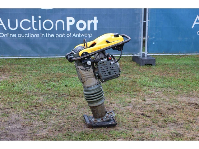 Trilplaat wacker neuson bs60-4s benzine 2008 - afbeelding 1 van  1