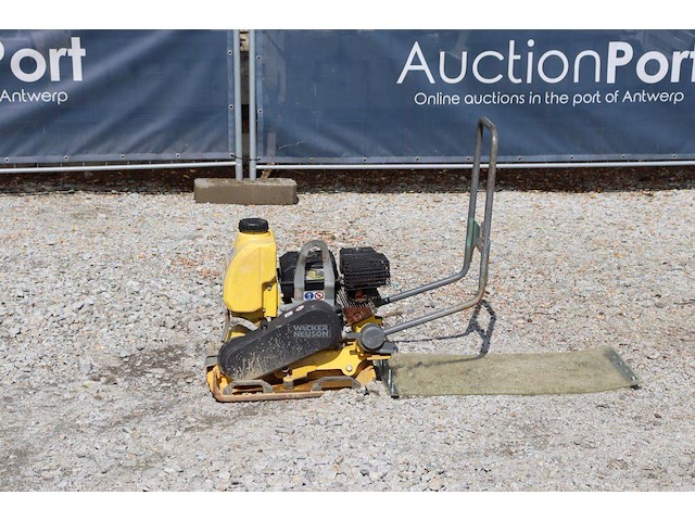 Trilplaat wacker neuson vp1550 benzine 2017 - afbeelding 1 van  1
