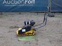 Trilplaat wacker neuson vp2050a benzine 2017 - afbeelding 1 van  1