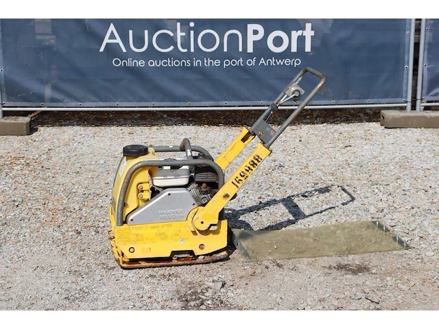 Trilplaat wacker neuson wpu 1550 benzine - afbeelding 1 van  1