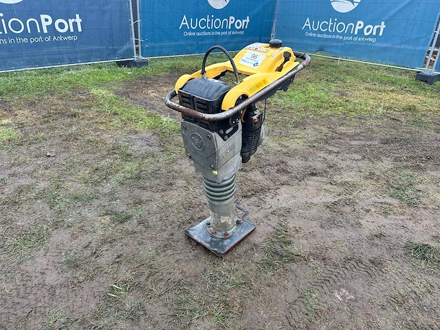 Trilstamper wacker neuson bs50-2 benzine 1.7kw - afbeelding 1 van  1