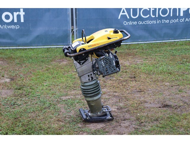 Trilstamper wacker neuson rammer bs60-4as 11in benzine 2022 - afbeelding 1 van  1