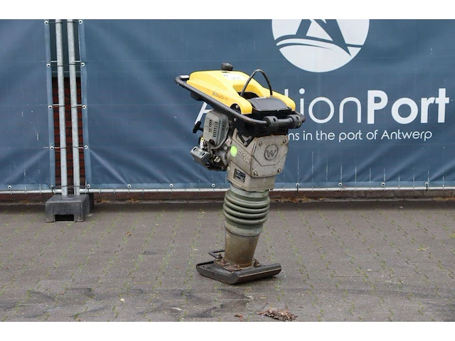Trilstamper wacker neuson rammer bs60-4as 11in benzine 2.7kw 2021 - afbeelding 1 van  1