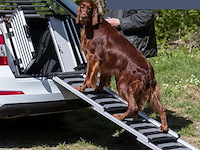 Trixie telescopische loopplank - afbeelding 6 van  7