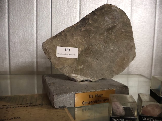 Trofee "de muur" geraardsbergen - afbeelding 2 van  4