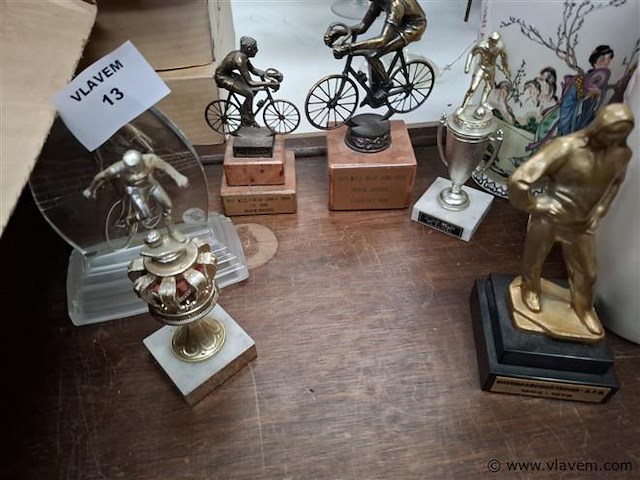 Trofee - afbeelding 1 van  2