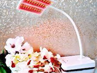 Trophy skin rejuvalite md - afbeelding 1 van  4