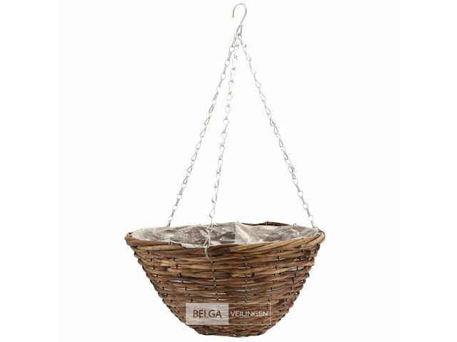 Tuin-planten - afbeelding 1 van  2