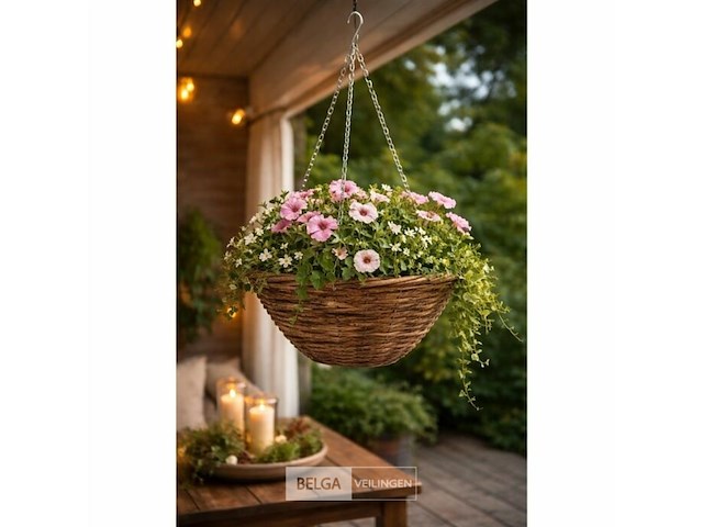 Tuin-planten - afbeelding 2 van  2