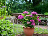 Tuinafscheiding - afbeelding 3 van  6