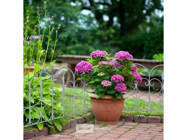 Tuinafscheiding - afbeelding 3 van  6