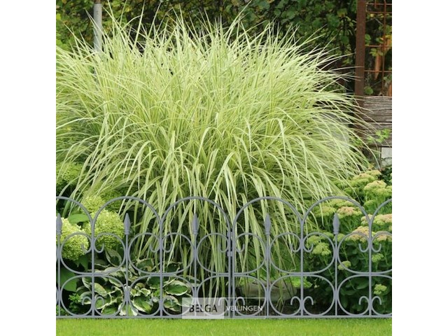 Tuinafscheiding - afbeelding 2 van  7