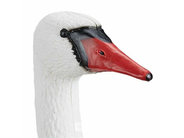 Tuinbeeld - afbeelding 5 van  5