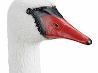 Tuinbeeld - afbeelding 5 van  5