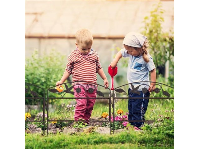 Tuinborders - afbeelding 2 van  8