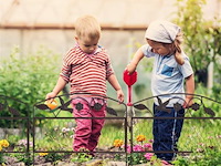 Tuinborders - afbeelding 2 van  8