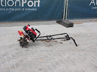 Tuinfrees benzine - afbeelding 1 van  1