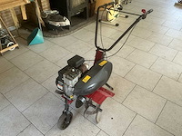 Tuinfrees - afbeelding 1 van  6