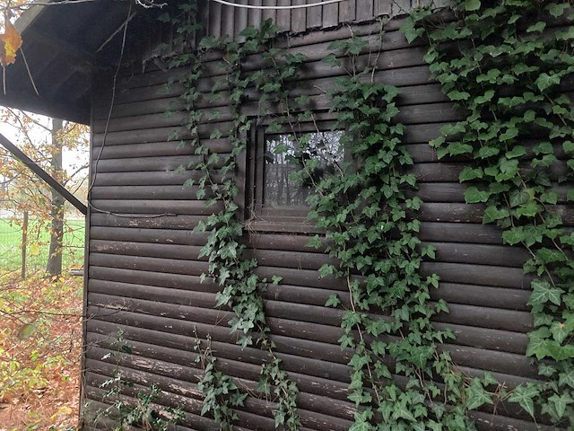 Tuinhuis - afbeelding 13 van  27