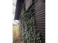 Tuinhuis - afbeelding 16 van  27