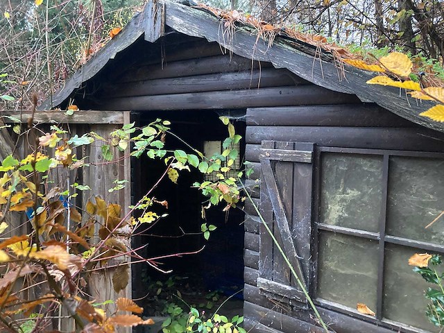 Tuinhuis - afbeelding 1 van  7