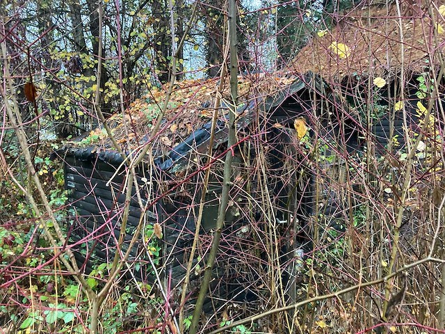 Tuinhuis - afbeelding 2 van  7