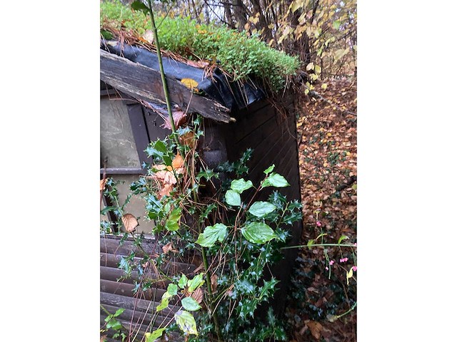 Tuinhuis - afbeelding 5 van  7