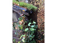 Tuinhuis - afbeelding 5 van  7