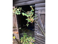 Tuinhuis - afbeelding 6 van  7