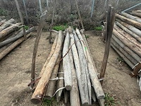 Tuinpalen ± 220 cm, ± 15 stuks - afbeelding 1 van  3