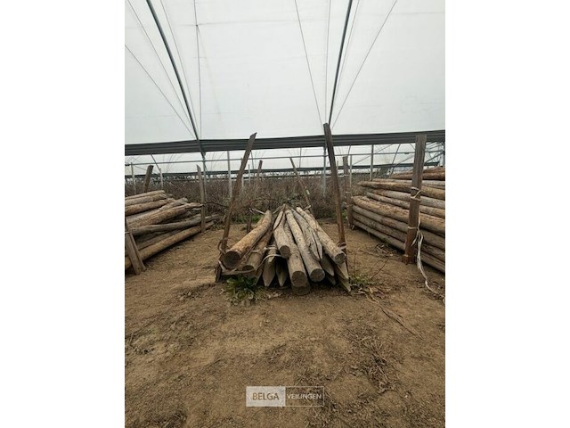 Tuinpalen ± 220 cm, ± 15 stuks - afbeelding 2 van  3