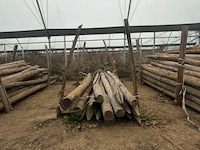 Tuinpalen ± 220 cm, ± 15 stuks - afbeelding 2 van  3